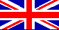 Click on the flag to go to the English site